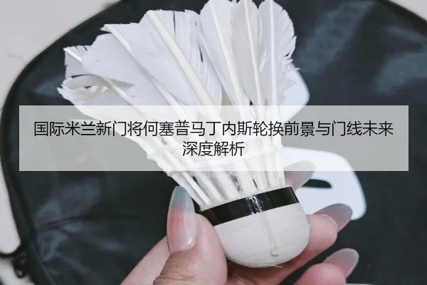 国际米兰新门将何塞普马丁内斯轮换前景与门线未来深度解析